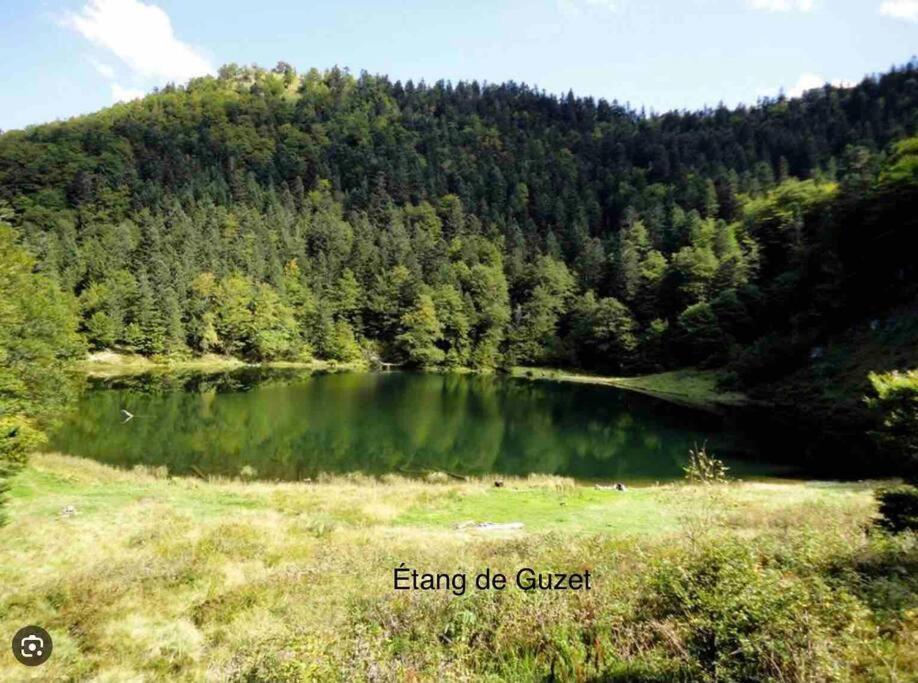 Confort Montagne Appartement
