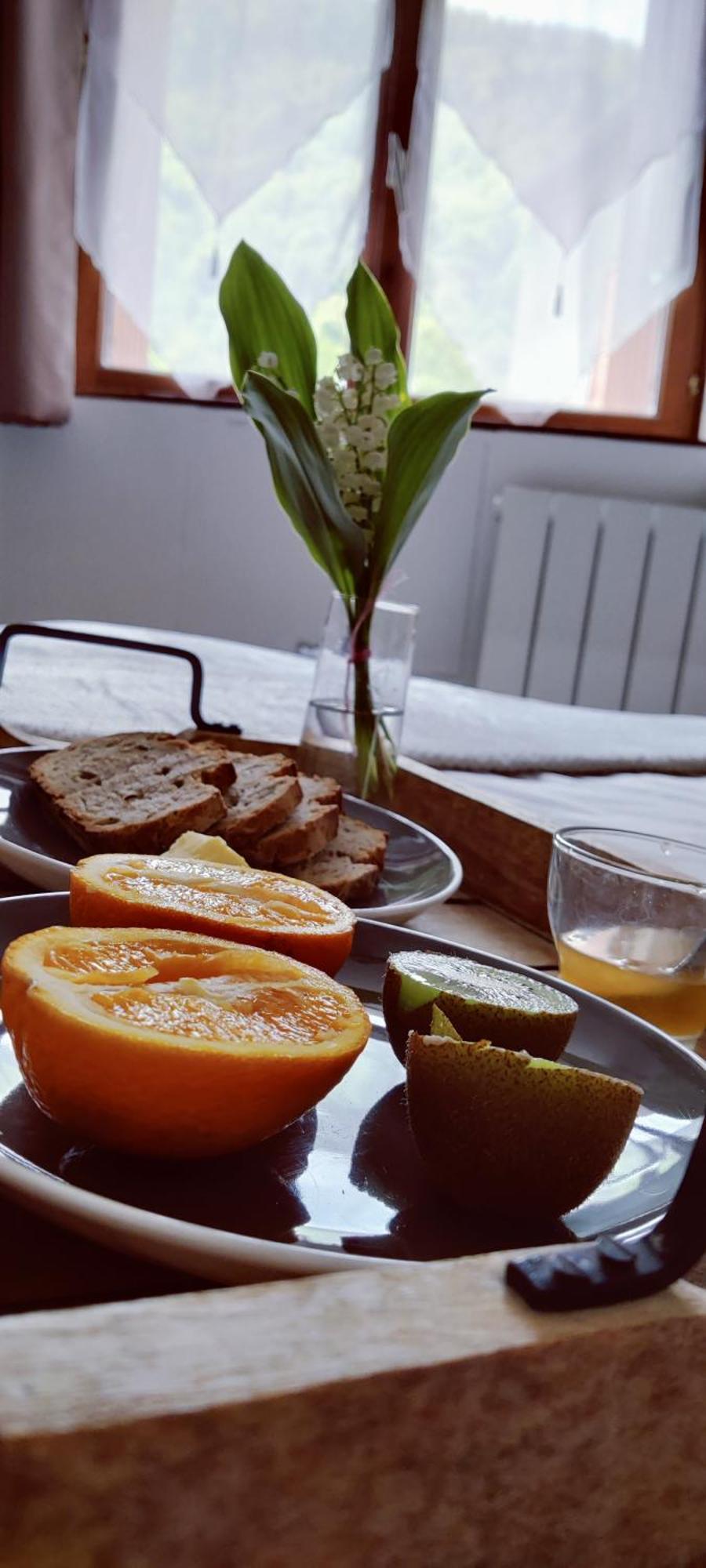 Confort Montagne Apartment Aulus-les-Bains
